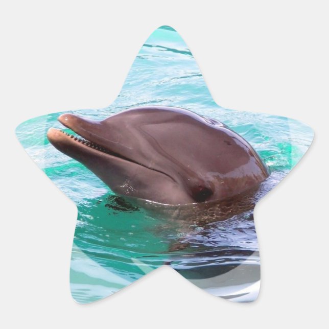 Pegatinas de diseño de delfines (Anverso)