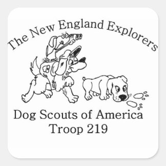 Pegatinas de DSA Troop 219