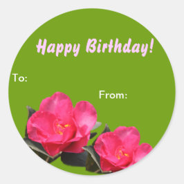 pegatinas de envoltura de regalo de cumpleaños de 