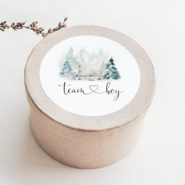 Pegatinas de equipo chico revelación de género bos