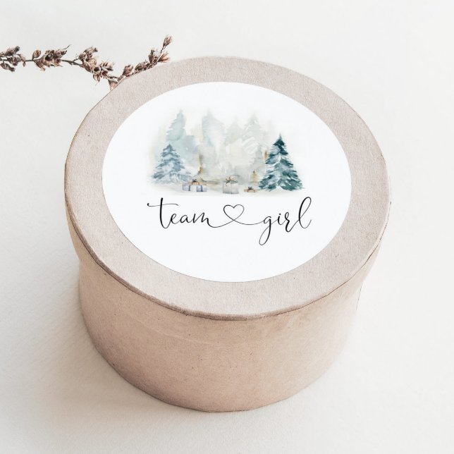 Pegatinas de equipo de revelación de género de bos (Subido por el creador)