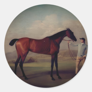 Pegatinas de equitación vintage