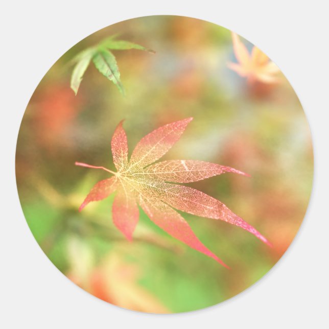 Pegatinas de Fall Filigree (Anverso)