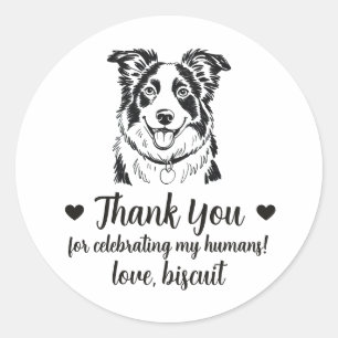 Pegatinas de Favor de Boda de Perro Border Collie