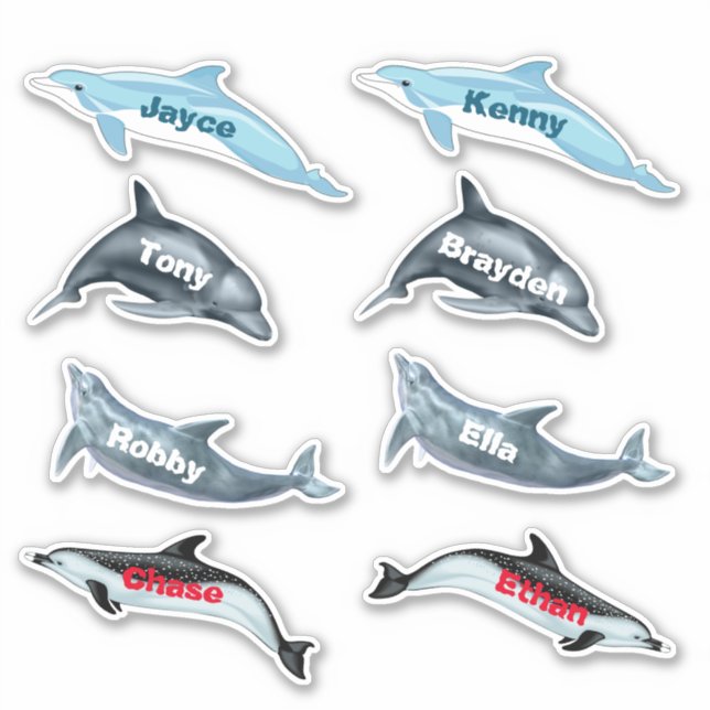 Pegatinas de fiesta de delfines con nombres (Anverso)