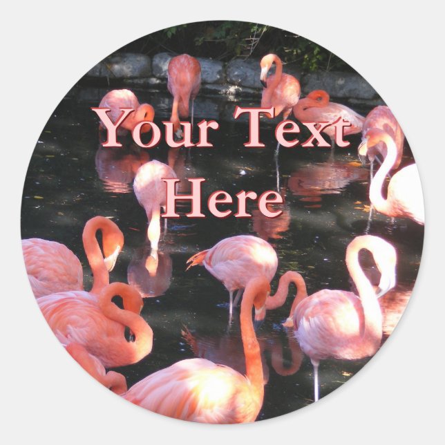 Pegatinas de Flamingo (Anverso)