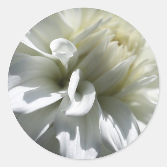 Pegatinas de flores blancas (Anverso)