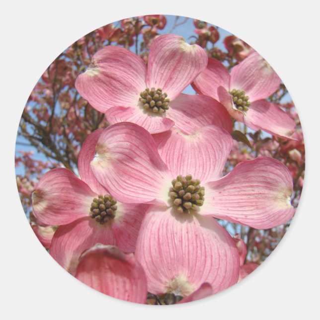 Pegatinas de flores de árbol de dogwood maderas ro (Anverso)