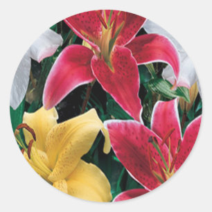 Pegatinas de flores de colores