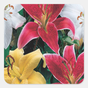 Pegatinas de flores de colores