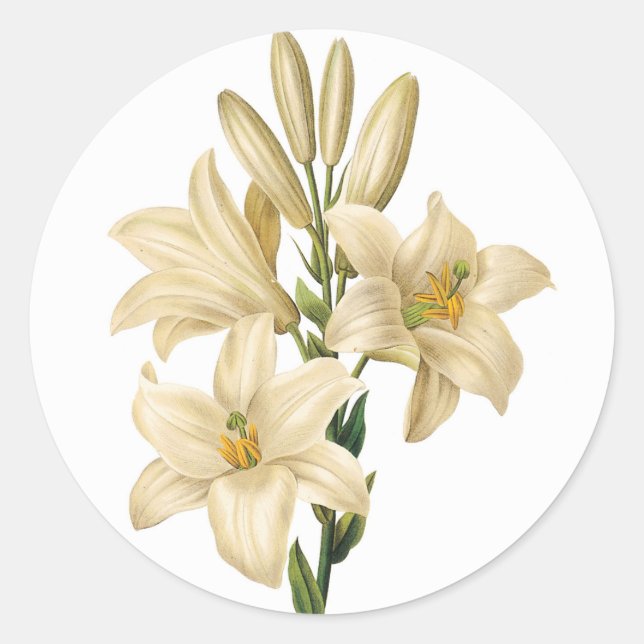 Pegatinas de flores de época 1 B (Anverso)