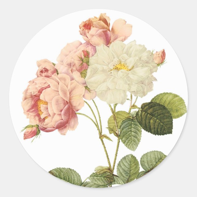 Pegatinas de flores de época 2 B (Anverso)