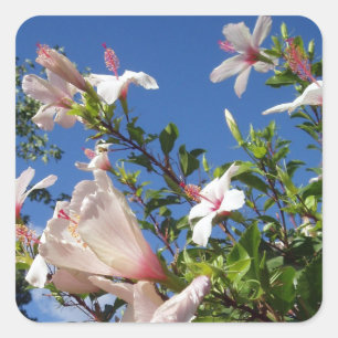 Pegatinas de flores de Hibiscus