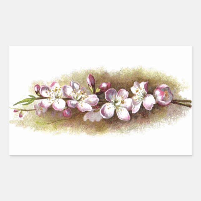 Pegatinas de flores de manzana antiguas (Anverso)
