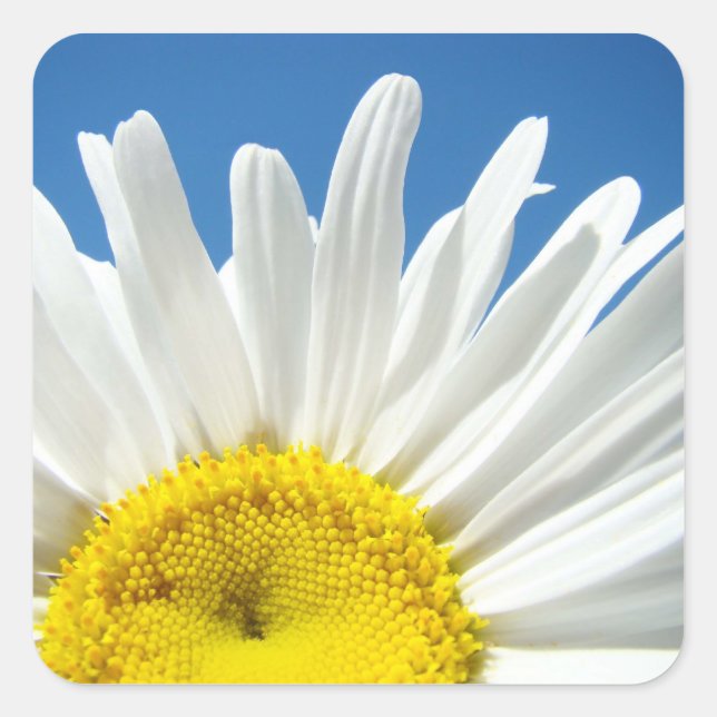 Pegatinas de flores de margarita personalizadas Ag (Anverso)