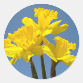 Pegatinas de flores de narcisos de primavera Sello