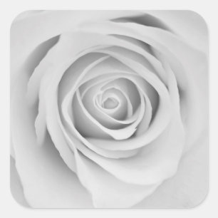 Pegatinas de flores de rosa blanco y negro