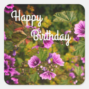 Pegatinas de Flores Felices BIrthday Zebra Hollyho