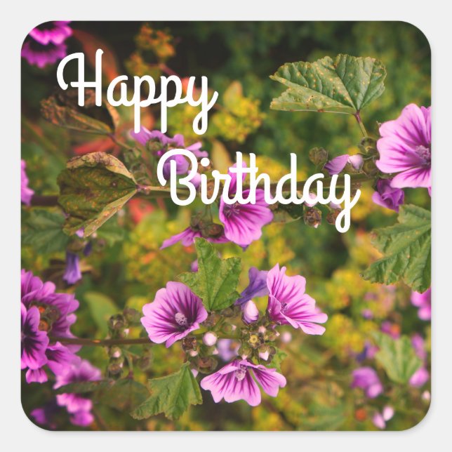 Pegatinas de Flores Felices BIrthday Zebra Hollyho (Anverso)