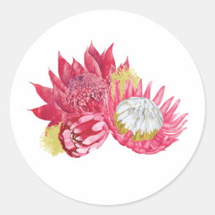 Pegatinas de flores nativas botánicas