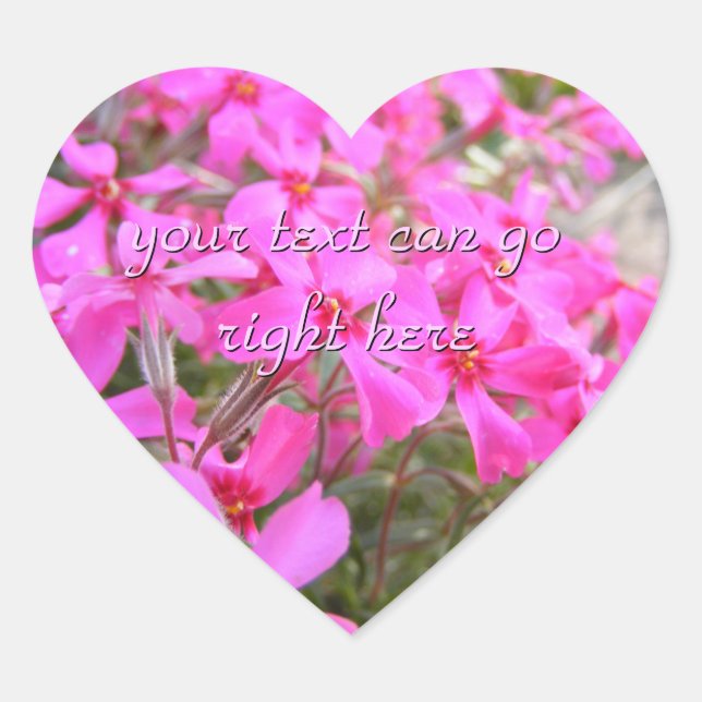 Pegatinas de Flores Rosa Phlox (Anverso)