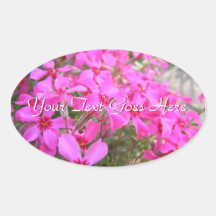 Pegatinas de Flores Rosa Phlox