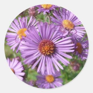 Pegatinas de flores silvestres