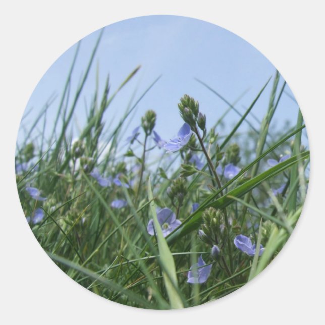 Pegatinas de flores silvestres (Anverso)