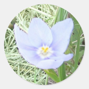 Pegatinas de Flores Silvestres Sonrientes
