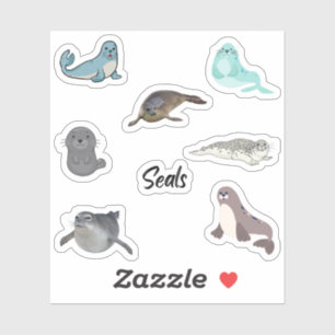 Pegatinas de focas
