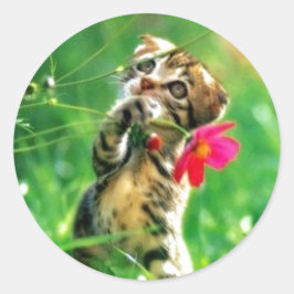 Pegatinas de forma de círculo gatito