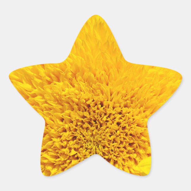 Pegatinas de forma de estrella Girasol amarillo Añ (Anverso)