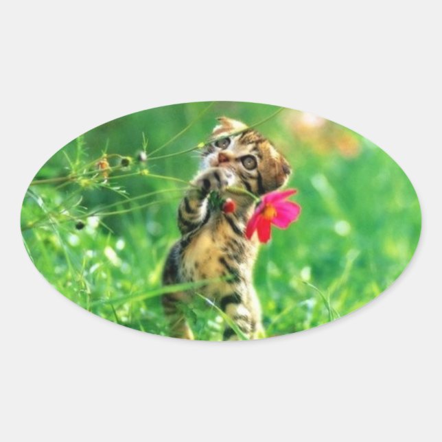 Pegatinas de formas de gatito oval (Anverso)