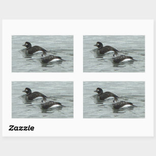 Pegatinas de foto de patos en el océano