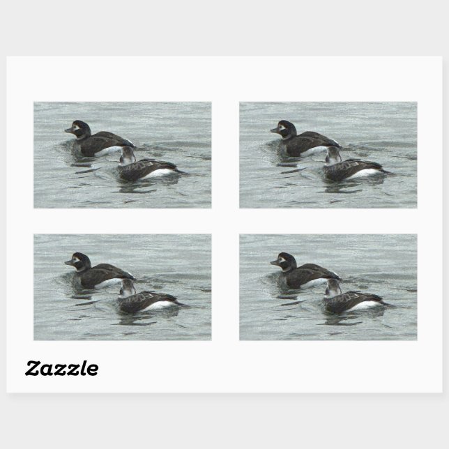 Pegatinas de foto de patos en el océano (Hoja)