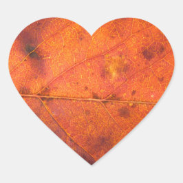 Pegatinas de fotografía de la hoja de otoño de nar