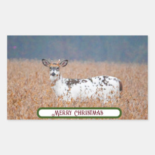 Pegatinas de fotografía de Piebald Deer