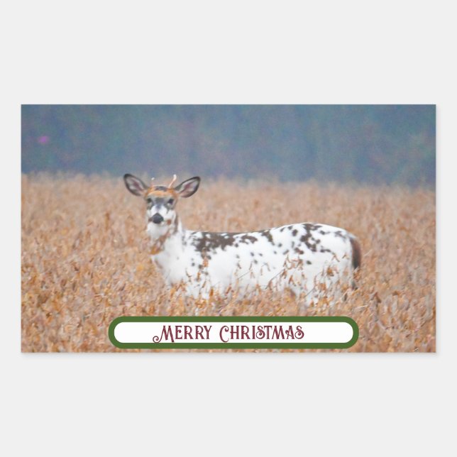 Pegatinas de fotografía de Piebald Deer (Anverso)
