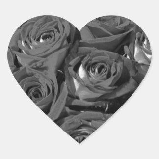 Pegatinas de fotografía de Rosas de aspecto blanco
