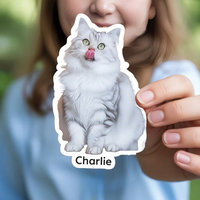 Pegatinas de fotografía personalizado | Decretos d (Custom Photo Vinyl Stickers)