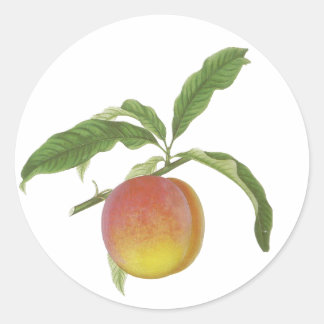 Pegatinas de fruta de época