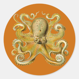 Pegatinas de Gamochonia