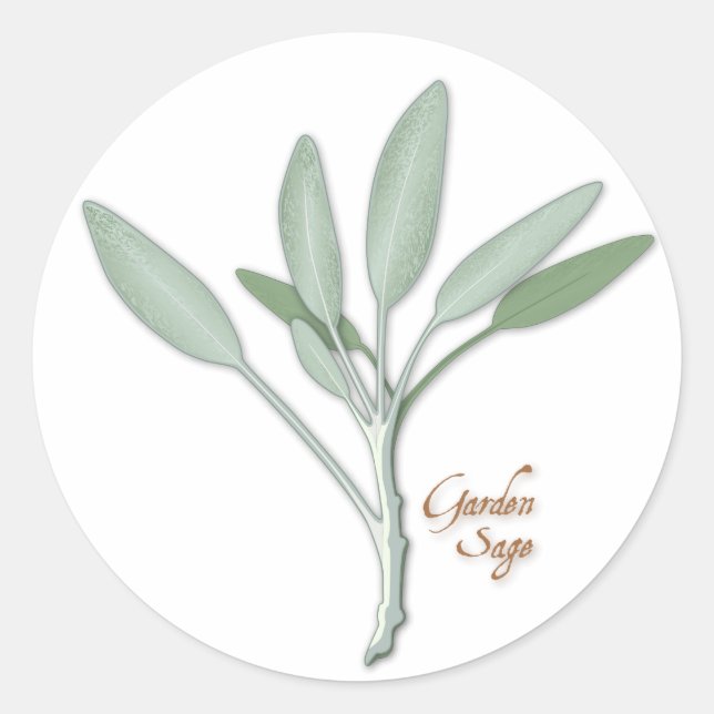 Pegatinas de Garden Sage Herb (Anverso)