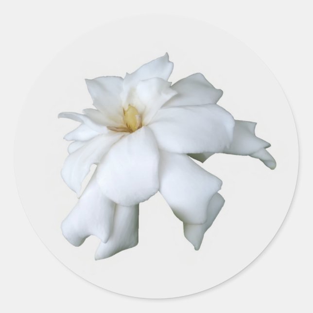 Pegatinas de Gardenia (Anverso)