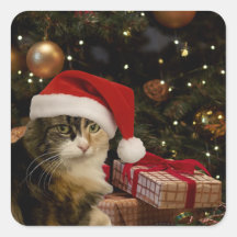Pegatinas de Gatito Santa Calico