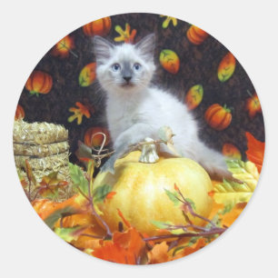 Pegatinas de gato de Savannah en otoño / Halloween