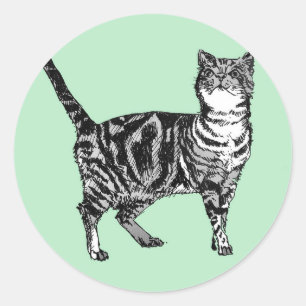 Pegatinas de gato de Tabby Mint Cute mascotas conj