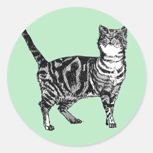 Pegatinas de gato de Tabby Mint Cute mascotas conj (Anverso)