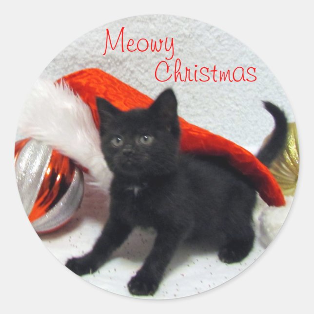 Pegatinas de gato / gatito de Navidad de Joon (Anverso)