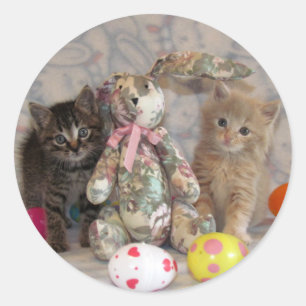 Pegatinas de gato/gatito Patton y Buffington